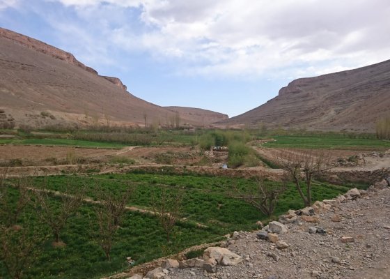 paysages verdoyant marocain 