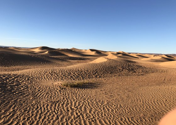 dunes de sable 