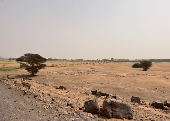 paysage marocain 