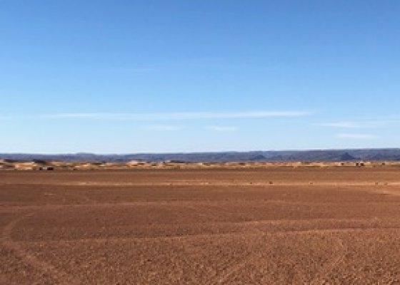 paysage de désert de pierre 