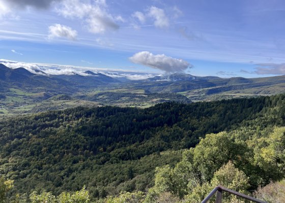 paysage