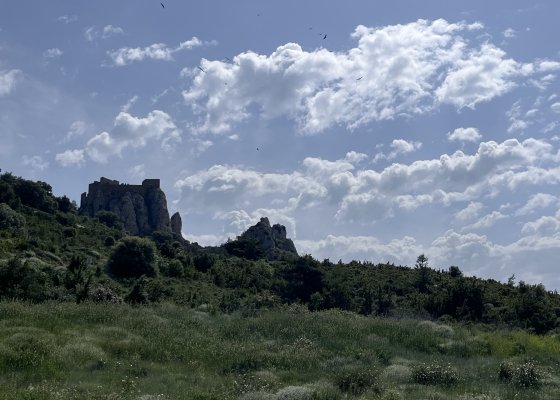 paysage cathare