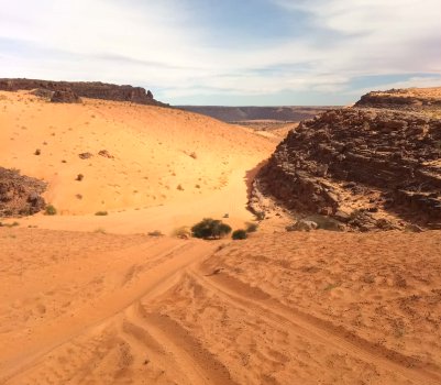 desert 