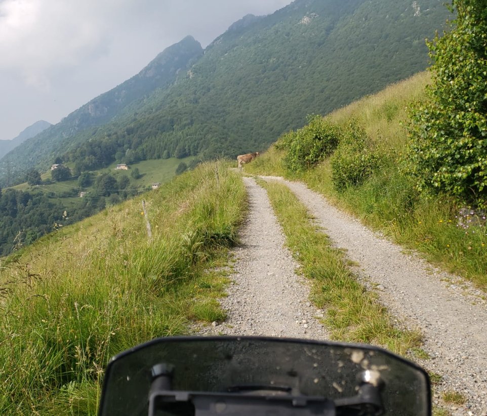 paysage de montagne