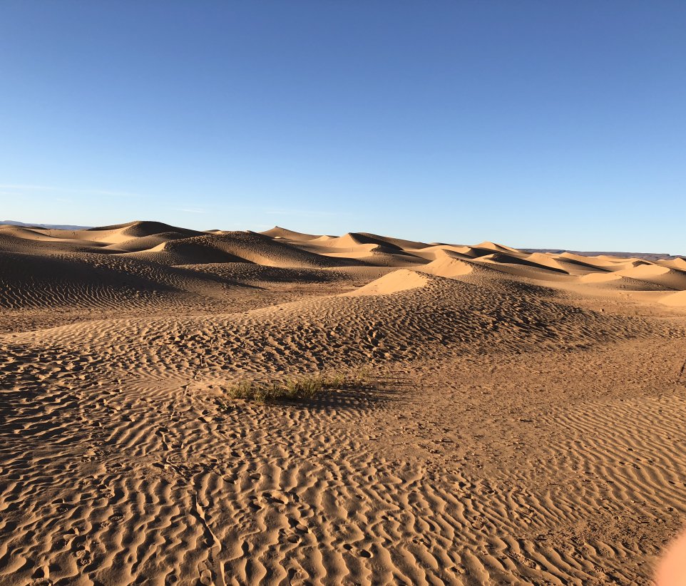 dunes de sable 