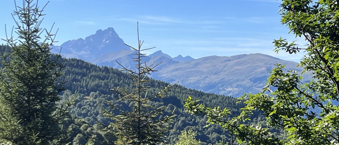 paysage de montagne 