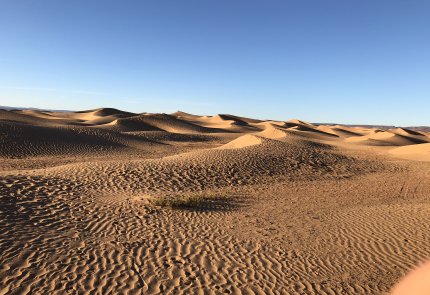 dunes de sable 